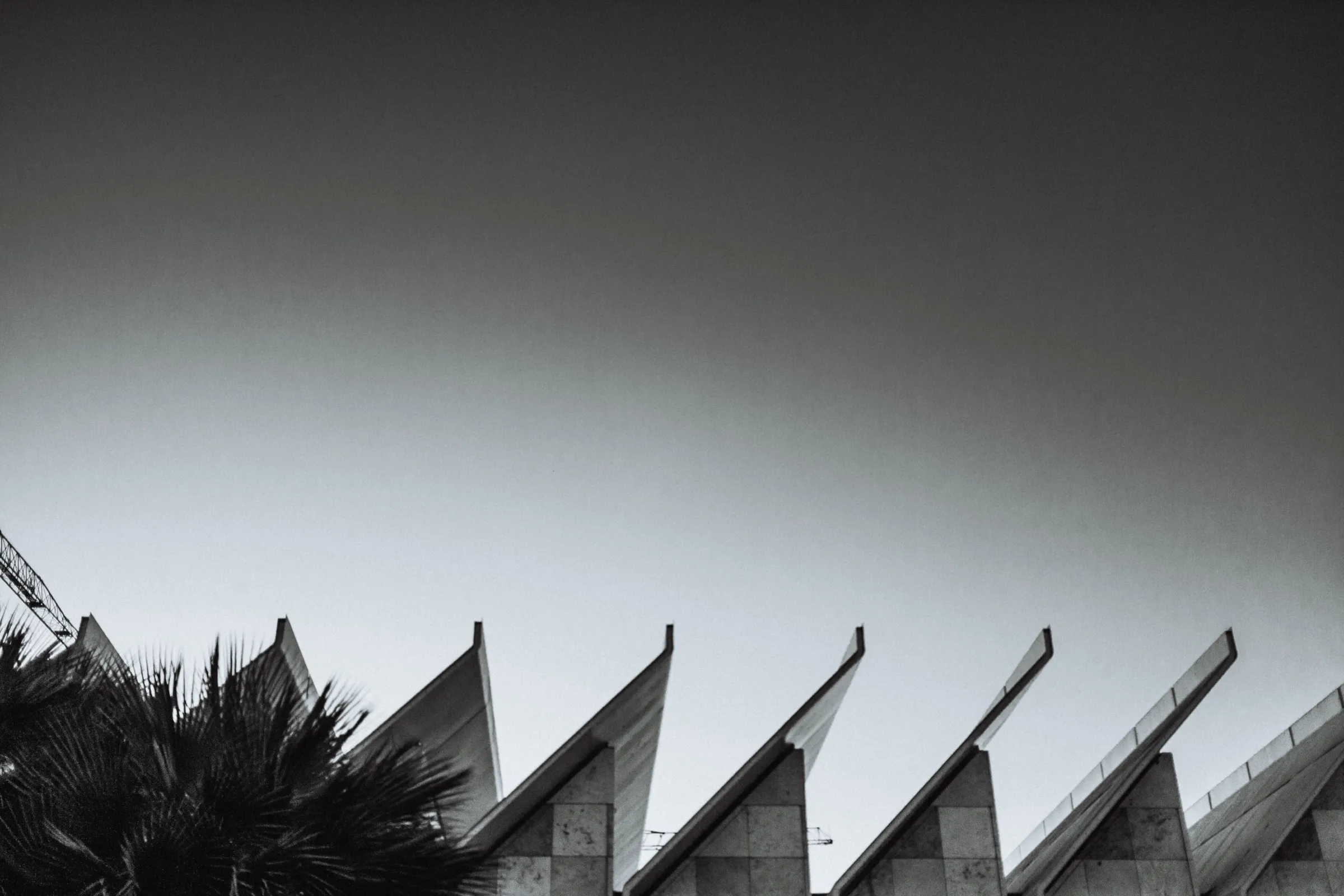 Black & White (2017), photo 3