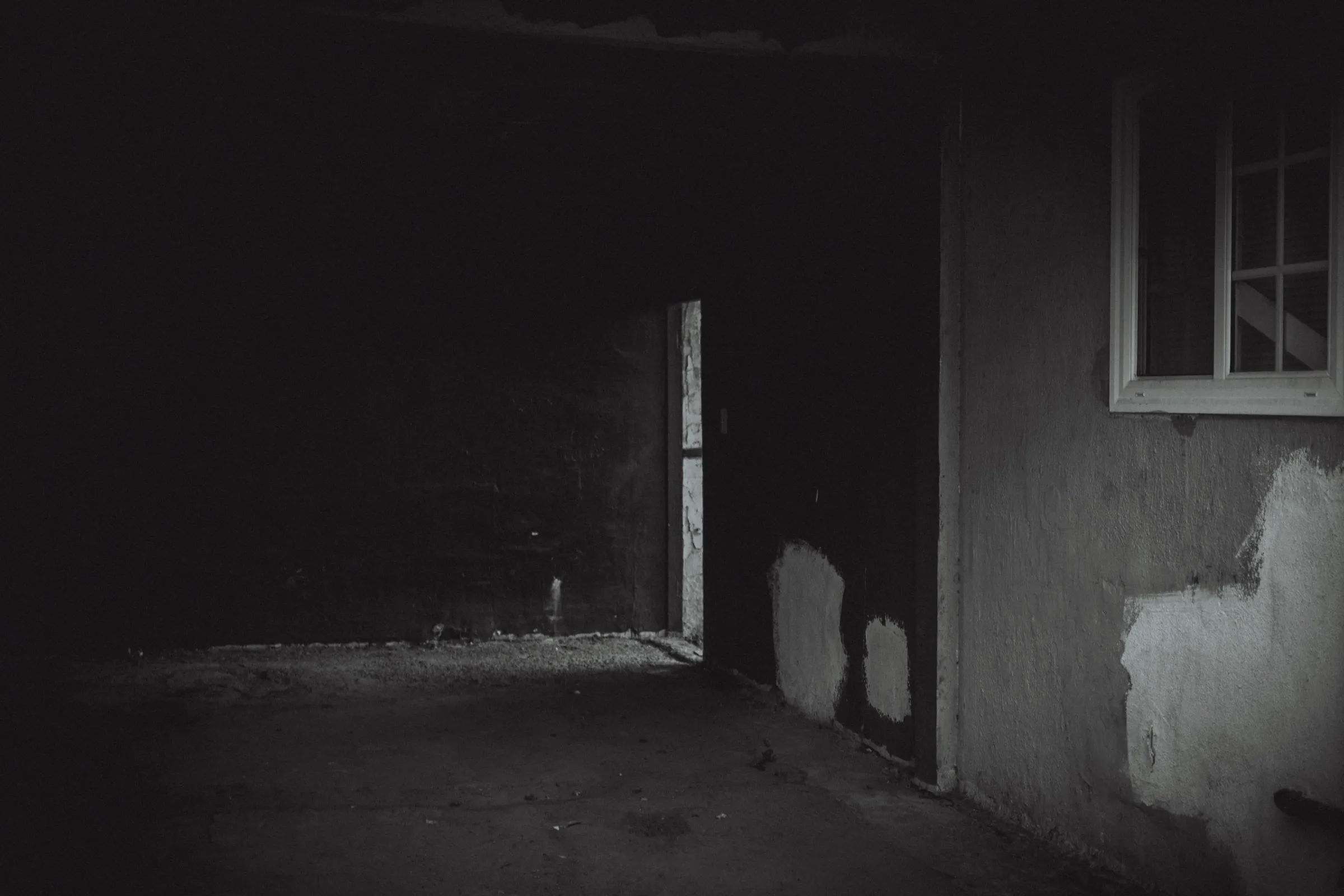 Black & White (2017), photo 7