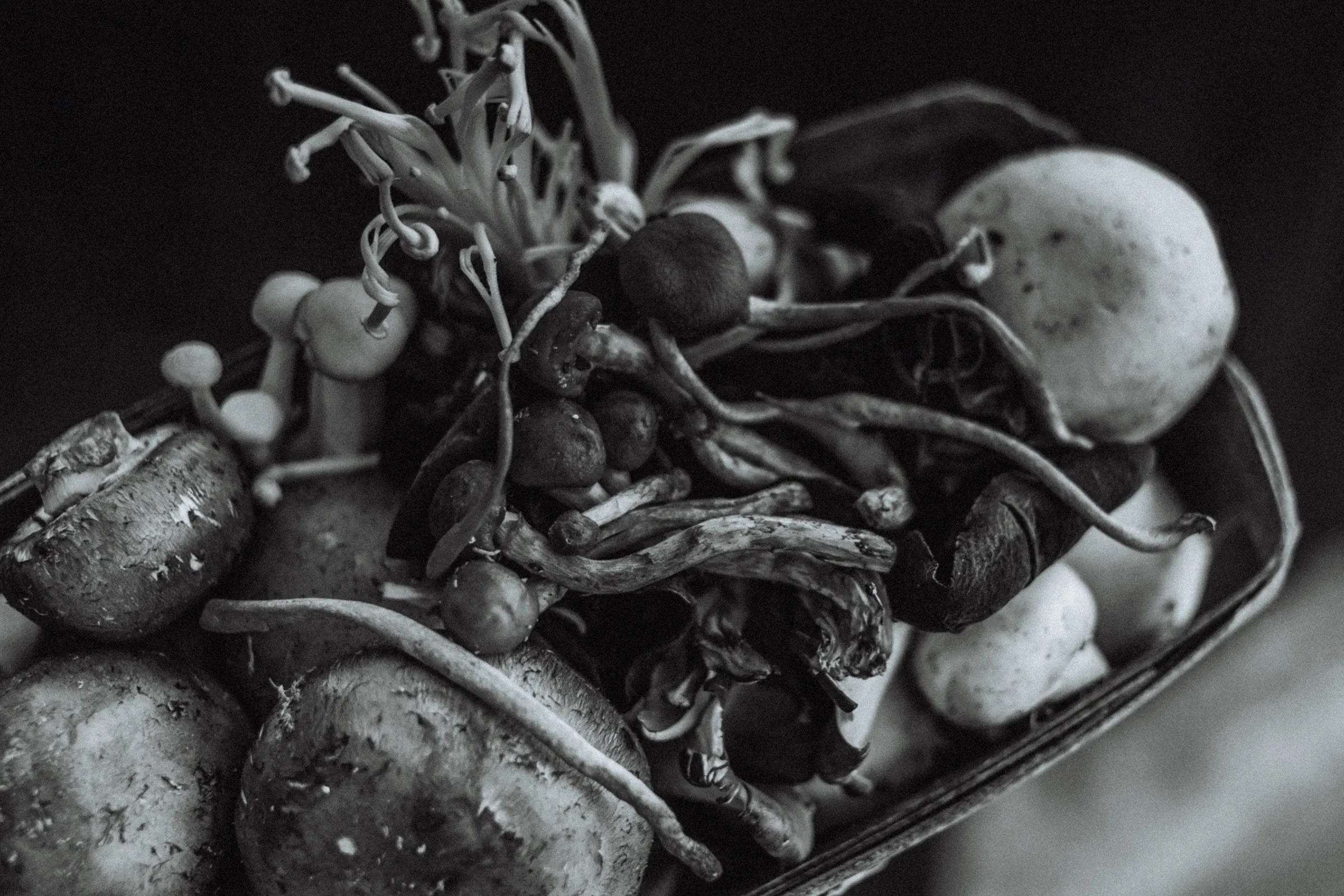 Black & White (2017), photo 9