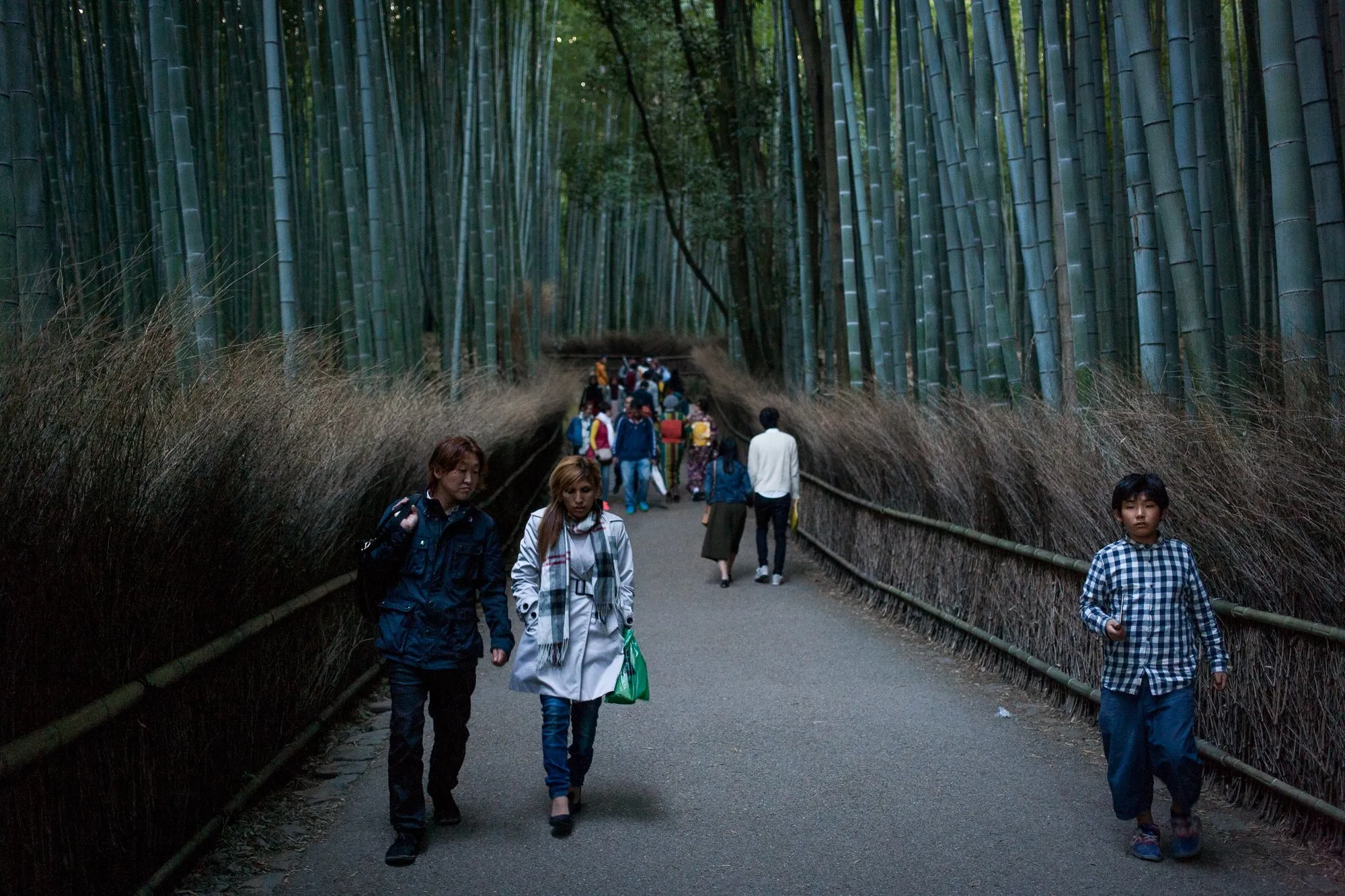 Around the World — Japan, 2015