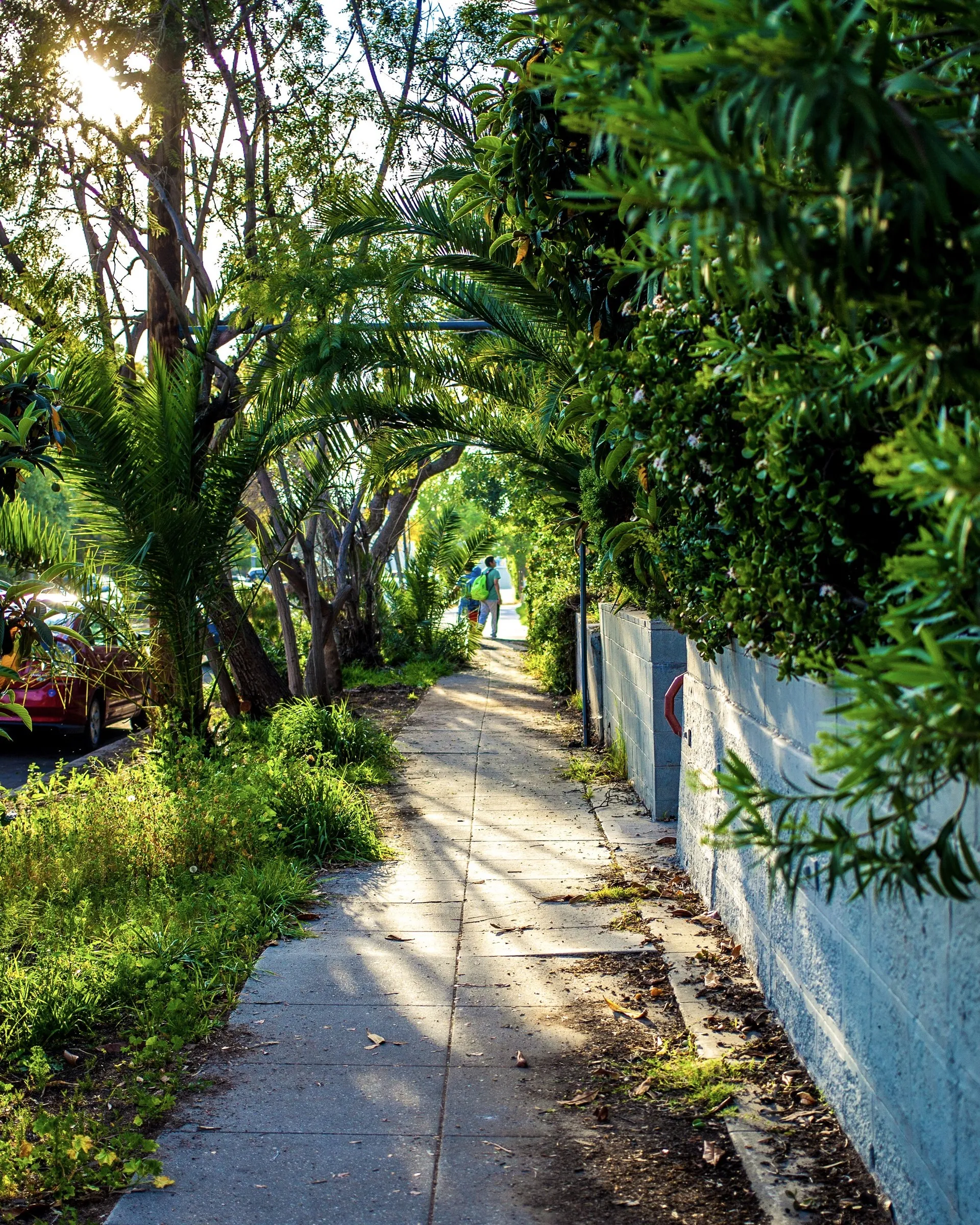 Santa Monica & Vine — Santa Monica & Vine, Hollywood, 2015